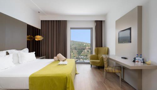 Double or Twin Room with Balcony and River View