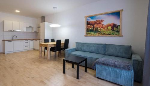 Apartment with Mountain View