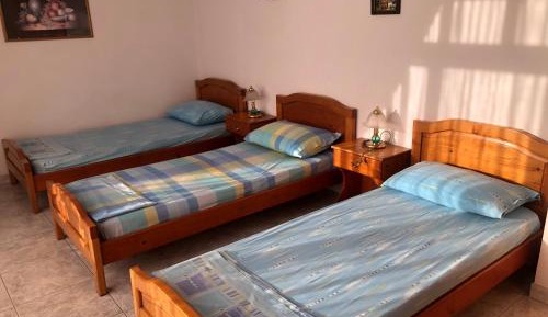 Bed in 3-Bed Mixed Dormitory Room with Shower