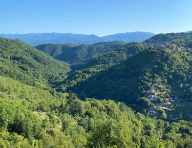 Two-Bedroom Standard Apartment