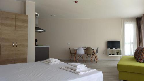 Studio with Sofa Bed (without a terrace)