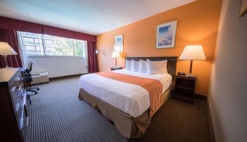 King Room with Mobility/Hearing Impaired Access - Non-Smoking