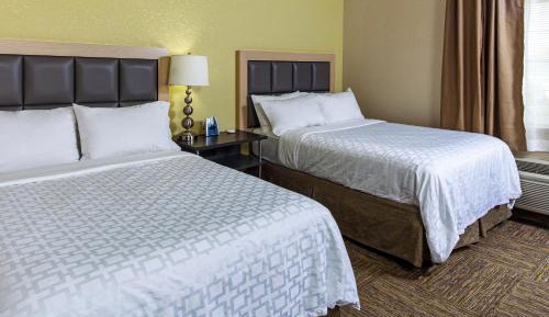 Studio Suite with Two Double Beds