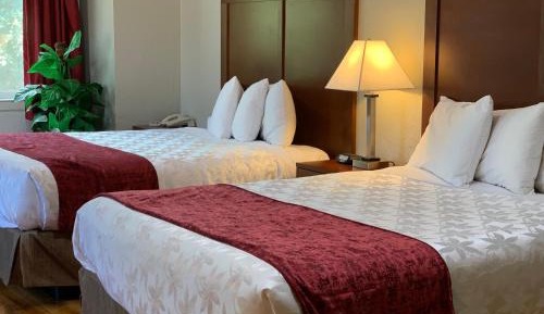 Queen Room with Two Queen Beds