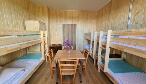 6-Bed Mixed Dormitory Room