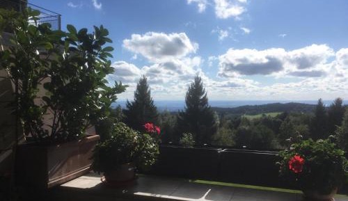 Apartment with View