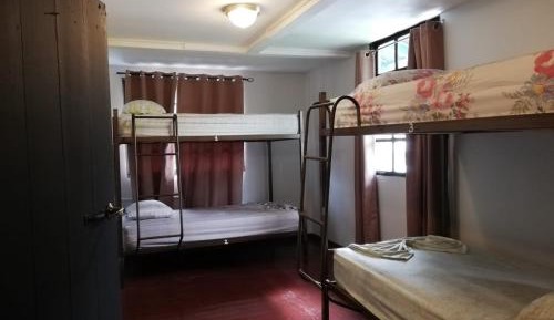 Bed in 8-Bed Mixed Dormitory Room