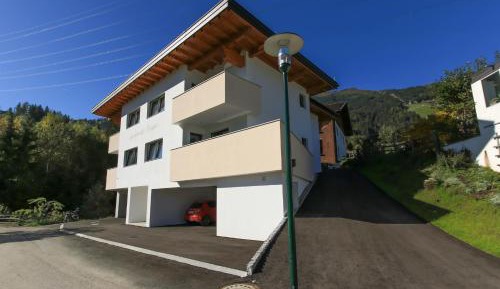 Deluxe Apartment with shower 