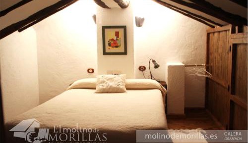 Two-Bedroom Apartment (4 Adults)