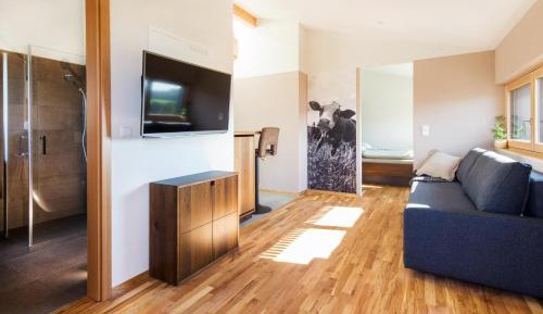 Superior One-Bedroom Apartment with Balcony