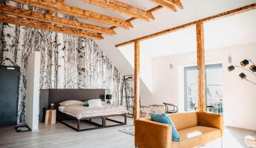 Superior Apartment with Mountain View