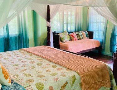 Premium King Room