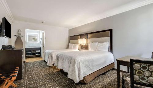 Standard Double Room with Two Double Beds - Non-Smoking