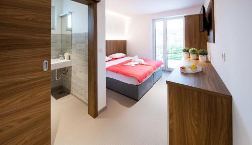 Double Room with Mountain View