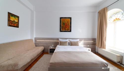 Studio with Sofa Bed