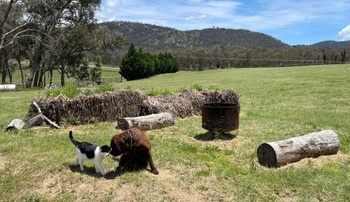 Apartment with Garden View - Pet Friendly