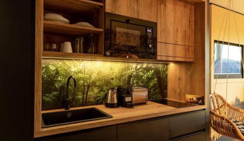 Studio - Disability Access