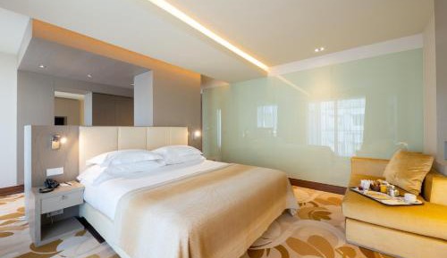 Deluxe Room with Terrace