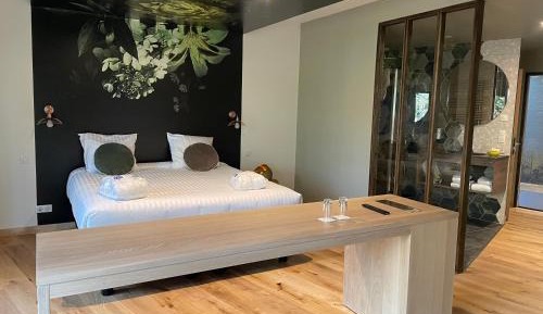 Suite with Spa Access