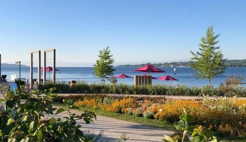 Suite with Lake View