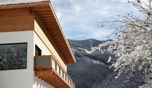 Superior Apartment with Sauna