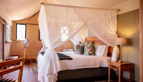Luxury Tent