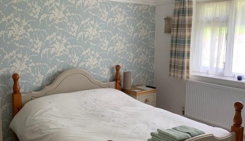 King Room with Garden View