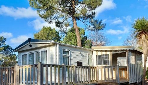 Mobile Home