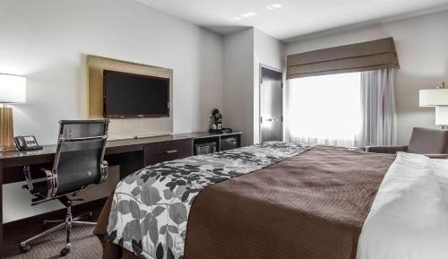 King Room - Non-Smoking
