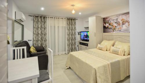 Studio with Sofa Bed