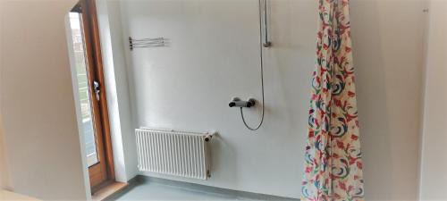 Apartment with Shower