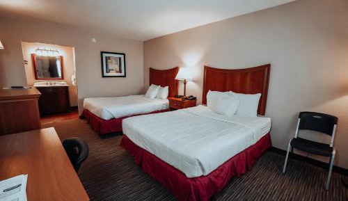 Superior Two Queen Room