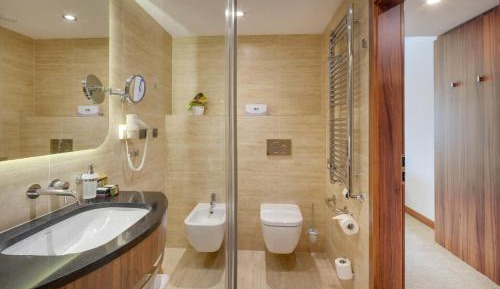 Premium Suite with Wellness Access