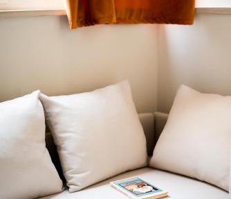 Carlina APT-12