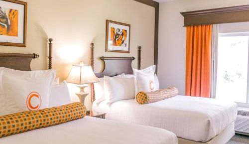 Queen Suite