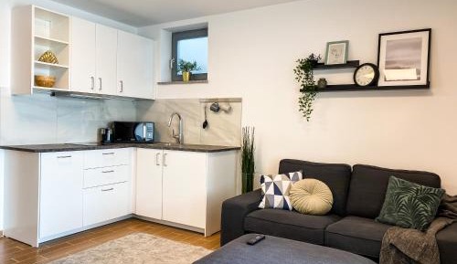 One-Bedroom Apartment - Ground Floor (no view)