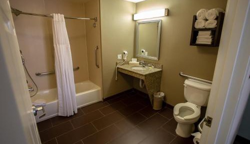 Queen Studio Suite - Hearing Accessible/Non-Smoking