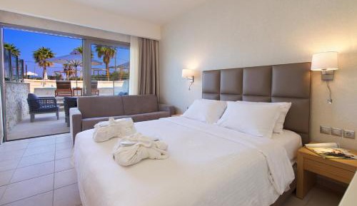 Double Room with Pool View