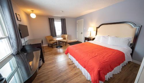 Single Queen Suite