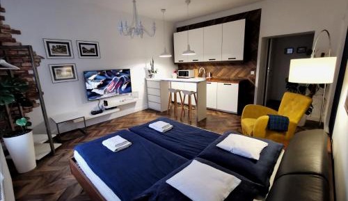 Studio Apartment