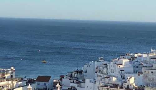 Deluxe One-Bedroom Apartment