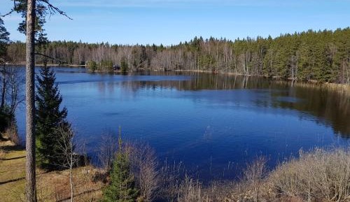 Twin Room with Lake View