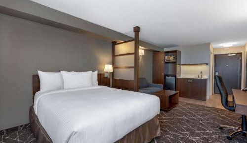 Business Queen Room - Non-Smoking