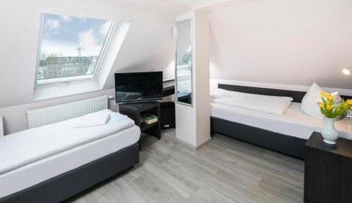 Comfort Twin Room with air condition and roof slope