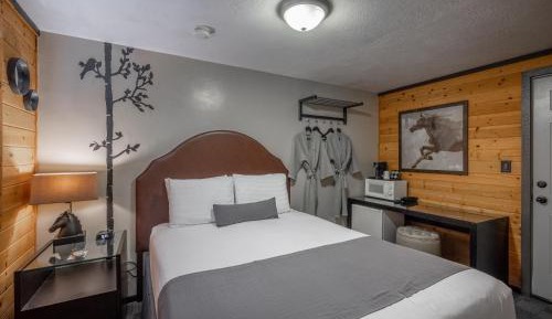 Basic Queen Room - No Pets