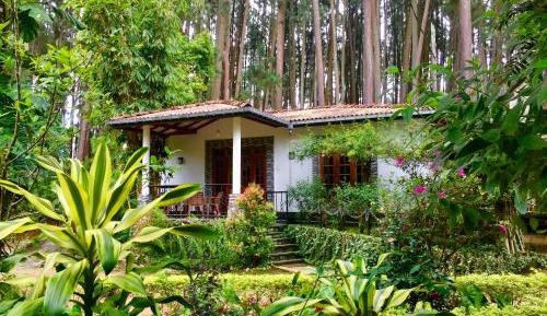 Family Bungalow
