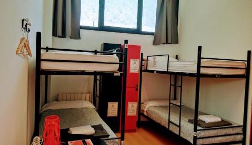 Bed in 6-Bed Mixed Dormitory Room
