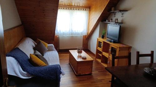 Apartment with Mountain View