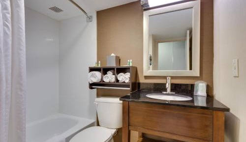 Standard King Room with Extra Floor Space