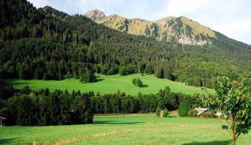 Deluxe Double or Twin Room with Mountain View